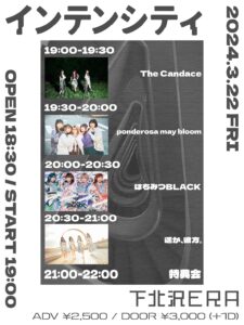 インテンシティ