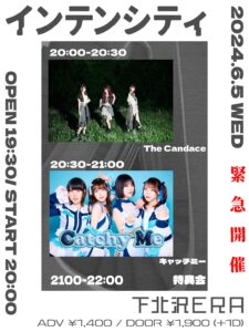 インテンシティ